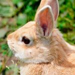 12424359_1212205018808211_461928605_a