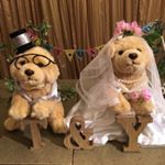 12093581_1540534152943637_438138396_a