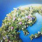 11848964_1623625001210704_1699992362_a