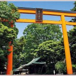 11085196_1564983683772015_1651479487_a