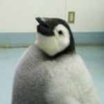 11373579_1499760543649025_1976598137_a