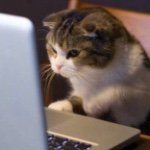 11283302_832728103478246_1784597050_a