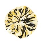 11336090_932107086831192_2120591402_a