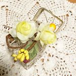 12783279_1700466910212038_833500545_a