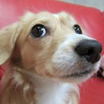 11379897_999876233365974_1688955384_a