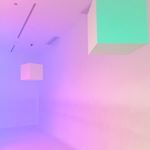 12558793_938205286269587_1443825894_a