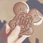 12725080_931745450195098_1217737899_a