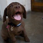 11821834_1608797786042880_310759437_a