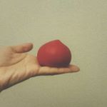 12797725_222254644793361_253011877_a