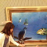 11143014_1443829095909471_1741329679_a