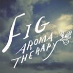 11374351_519767504847418_331362203_a