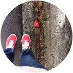 12818868_550835305096077_353117950_a