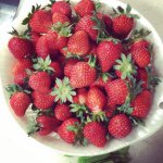 11226857_105244626474575_988497177_a