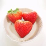 10899169_367328030105869_1352880064_a