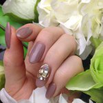 11385131_845423088880453_1413307278_a