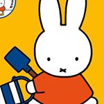 12751080_1037595072964072_2140132953_a