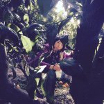 10950499_1537739383181081_349030044_a