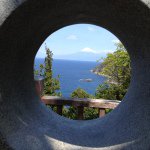 11910166_497081617112460_1588715477_a