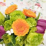 12797730_613483152138286_1678748843_a