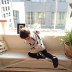 12724766_801358913302365_933797581_a