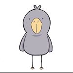 11850156_127475464260542_637937444_a