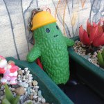 10632332_358784407607154_1211877301_a