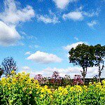 11138017_750716435042373_615782034_a