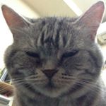 11881645_927970350608405_343111679_a