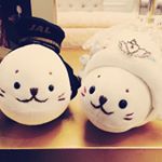 12224459_436465706545374_986086503_a