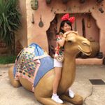 12081255_700869383346932_1943199516_a