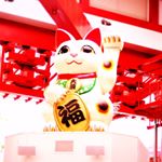 915585_806113332825935_1508669395_a