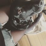 12558378_534419703405365_1763742815_a