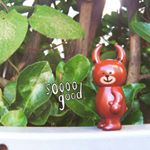 12716946_1754265908140885_897552810_a