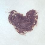 12568226_958331867585740_2059550190_a