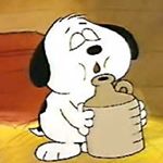 11351596_1510280289271228_2087880561_a