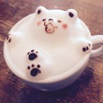 10898993_1541372819448352_1237642339_a