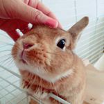 12237244_1079638248715755_1517136103_a