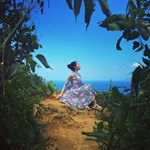 12407436_204534136559866_459633042_a