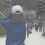 12798121_602409829910759_388920533_a