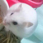 10518030_952390838128928_1836553767_a