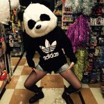 11201614_1558299414435642_530977418_a