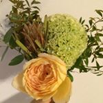 10576209_1179480162077036_1072869441_a