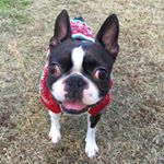 10953568_242932789383244_825796461_a