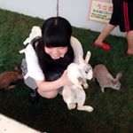 12907147_1686460321620141_894499476_a