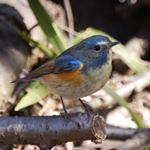 12783426_1665460320373580_1905716192_a