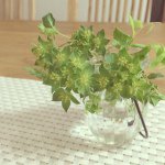 10643975_1508591189358445_1558933498_a