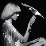 11849245_732634253509340_1910888412_a