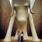 10723991_857751870925569_758850881_a