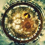 12298985_432617570280476_1970333490_a