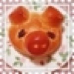 10311210_389016101237793_1312403127_a